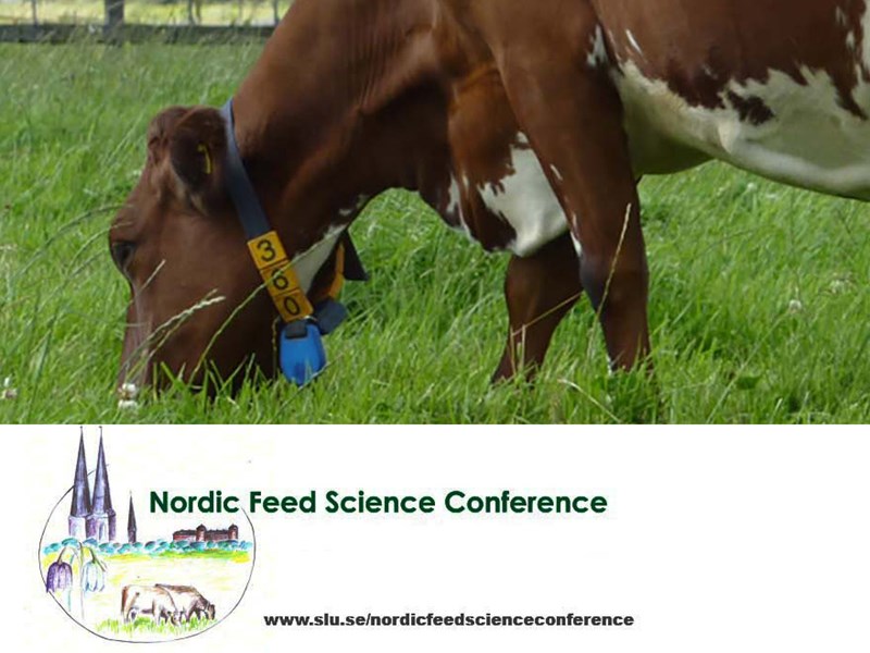 Photo of a red cow grazing and the logo for Nordic Feed Science Conference on white background. Picture.