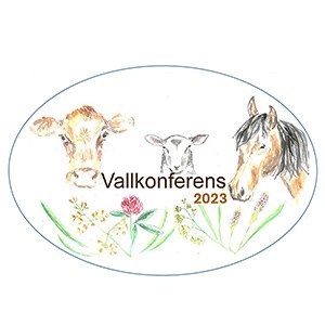 Logotyp för vallkonferensen. Bild.