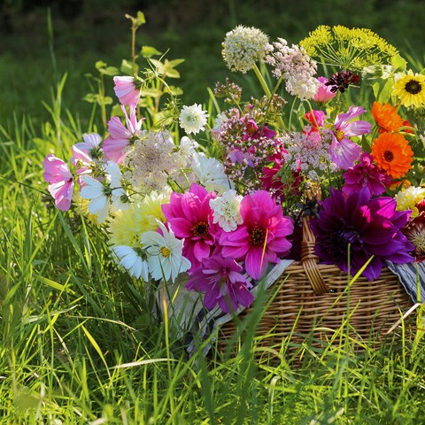 Sommarblommor i korg