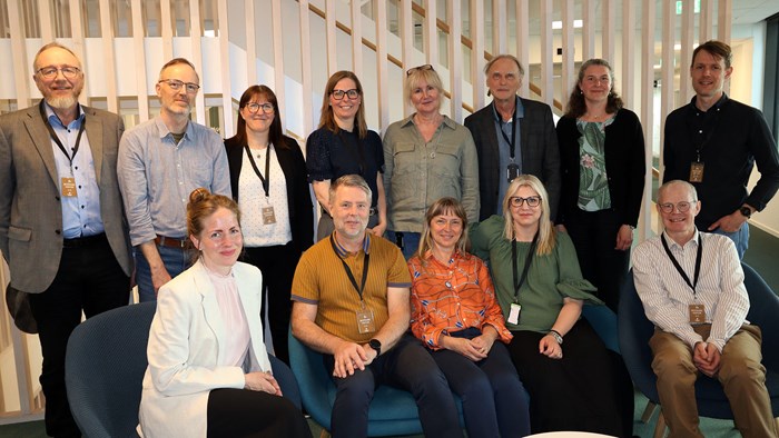 Gruppbild på människor