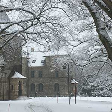 Slott i snölandskap