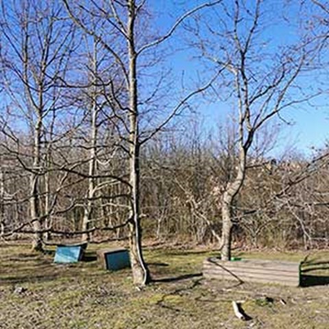 Naturlig lekplats med träd och buskar vintertid