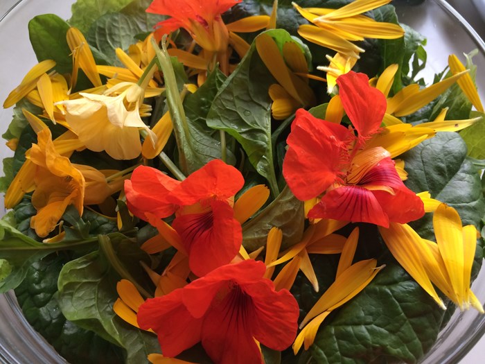 Blommor