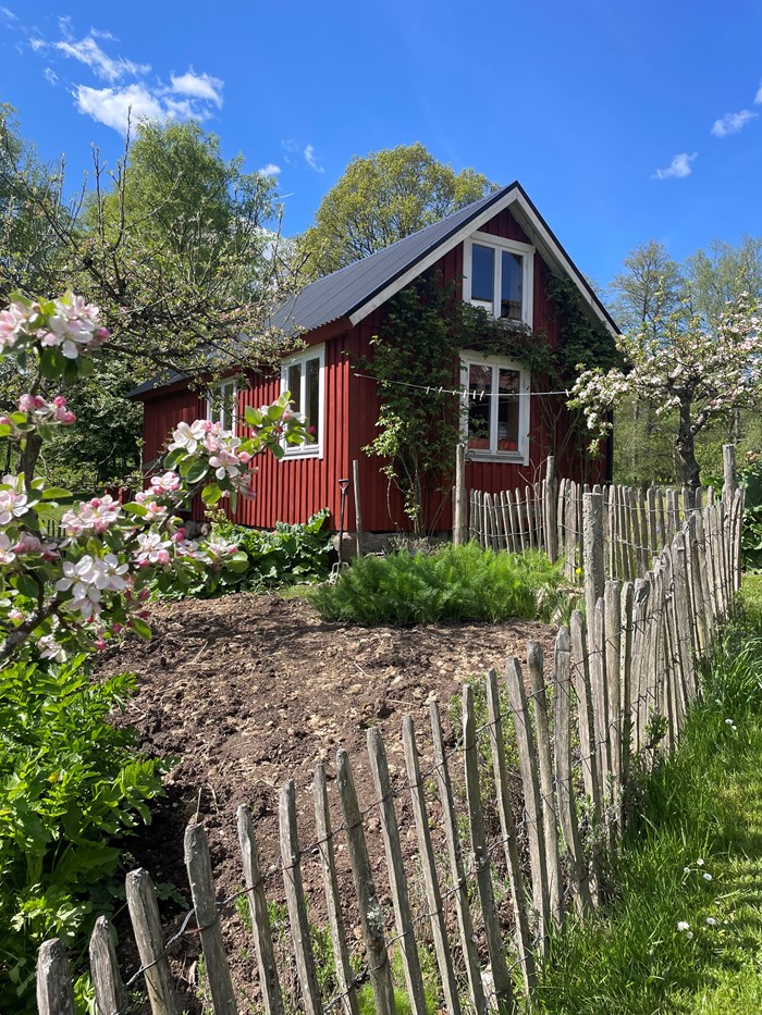En röd stuga