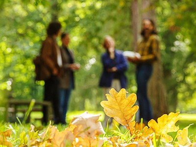 Three persons in forest