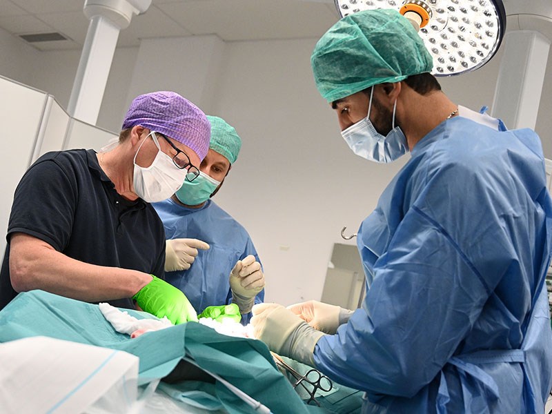 Surgery 