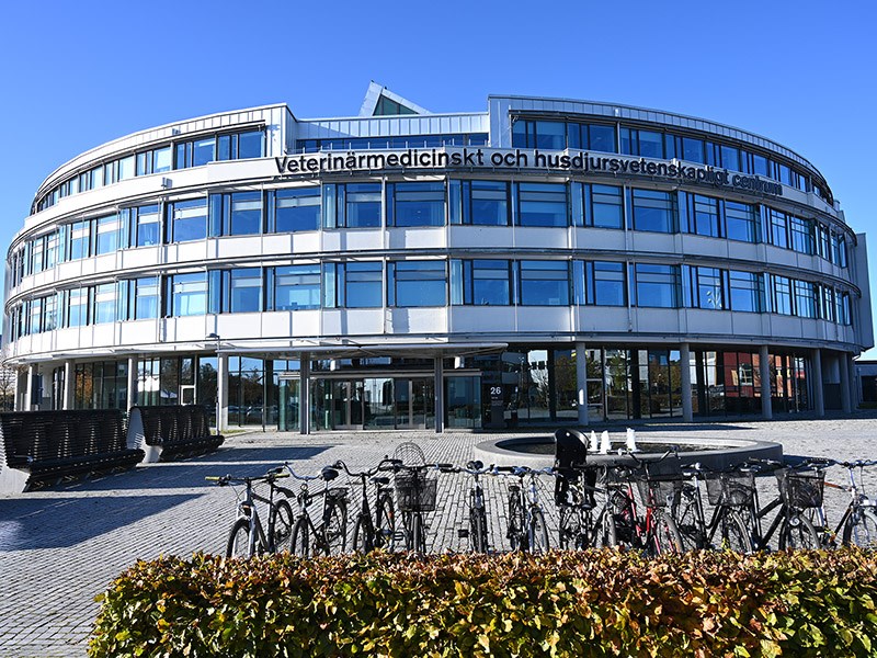 VHC byggnad