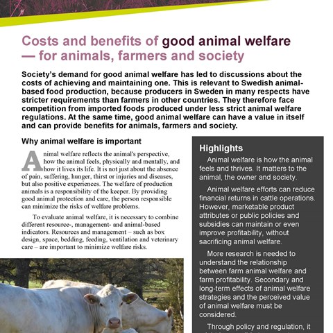 Animal welfare measures affect the profitability of Swedish milk and beef  production | Externwebben
