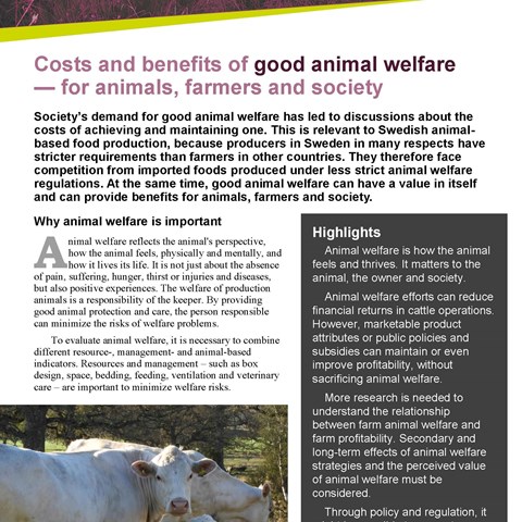 Animal welfare measures affect the profitability of Swedish milk and beef production | Externwebben Animal welfare measures affect the profitability of Swedish milk and beef production | Externwebben