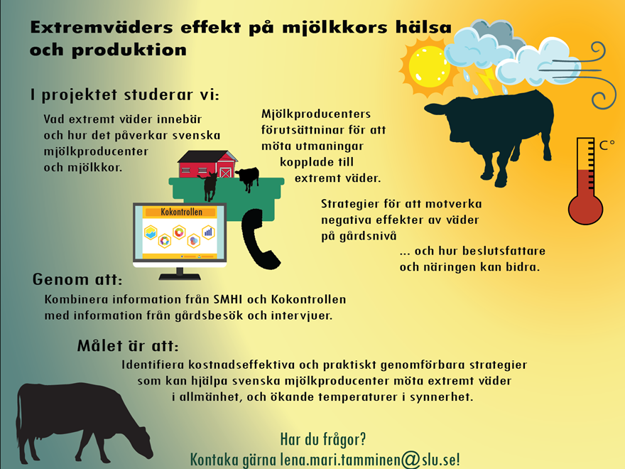 Översikt projekt