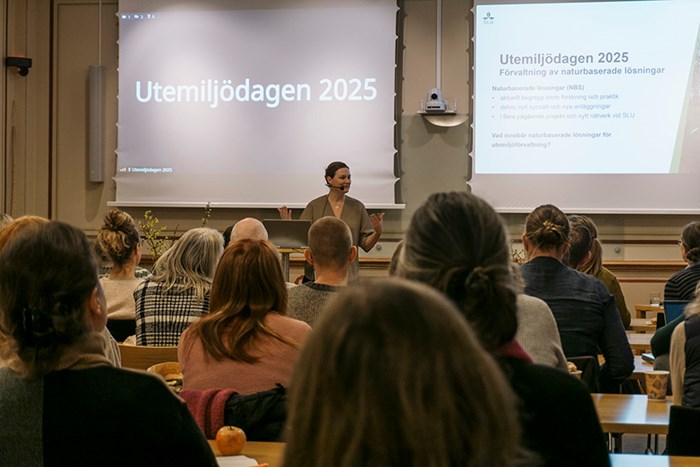 Utemiljödagen 2025