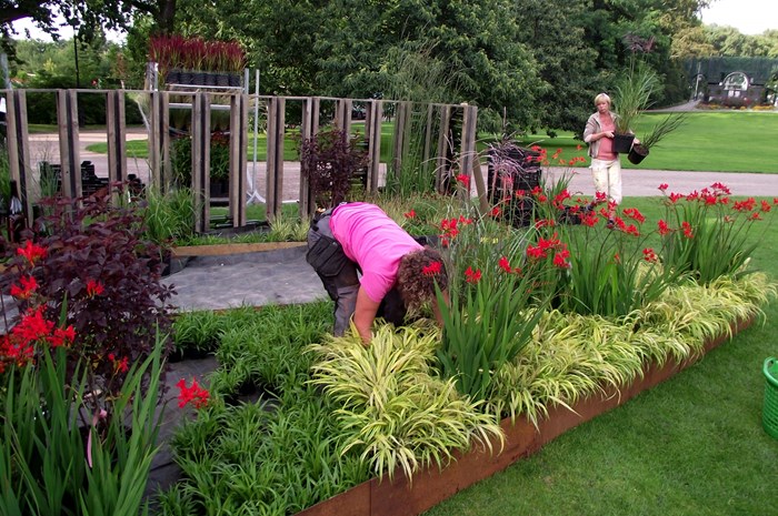 Plantings