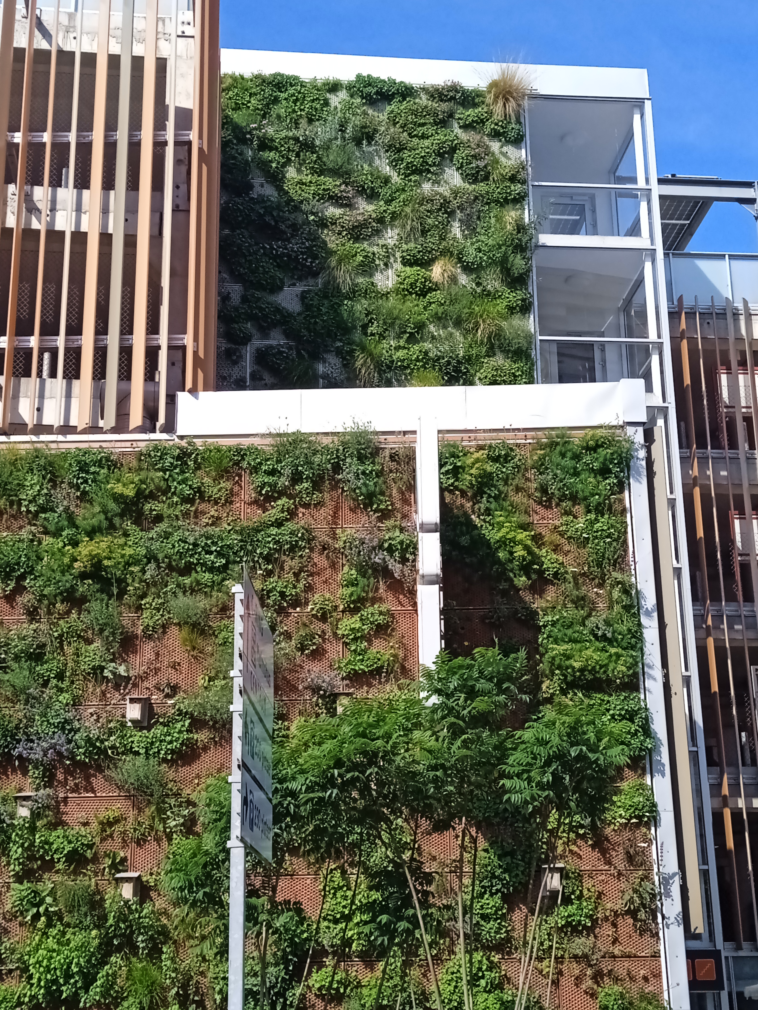 Green Sponge Buildings in Scandinavia