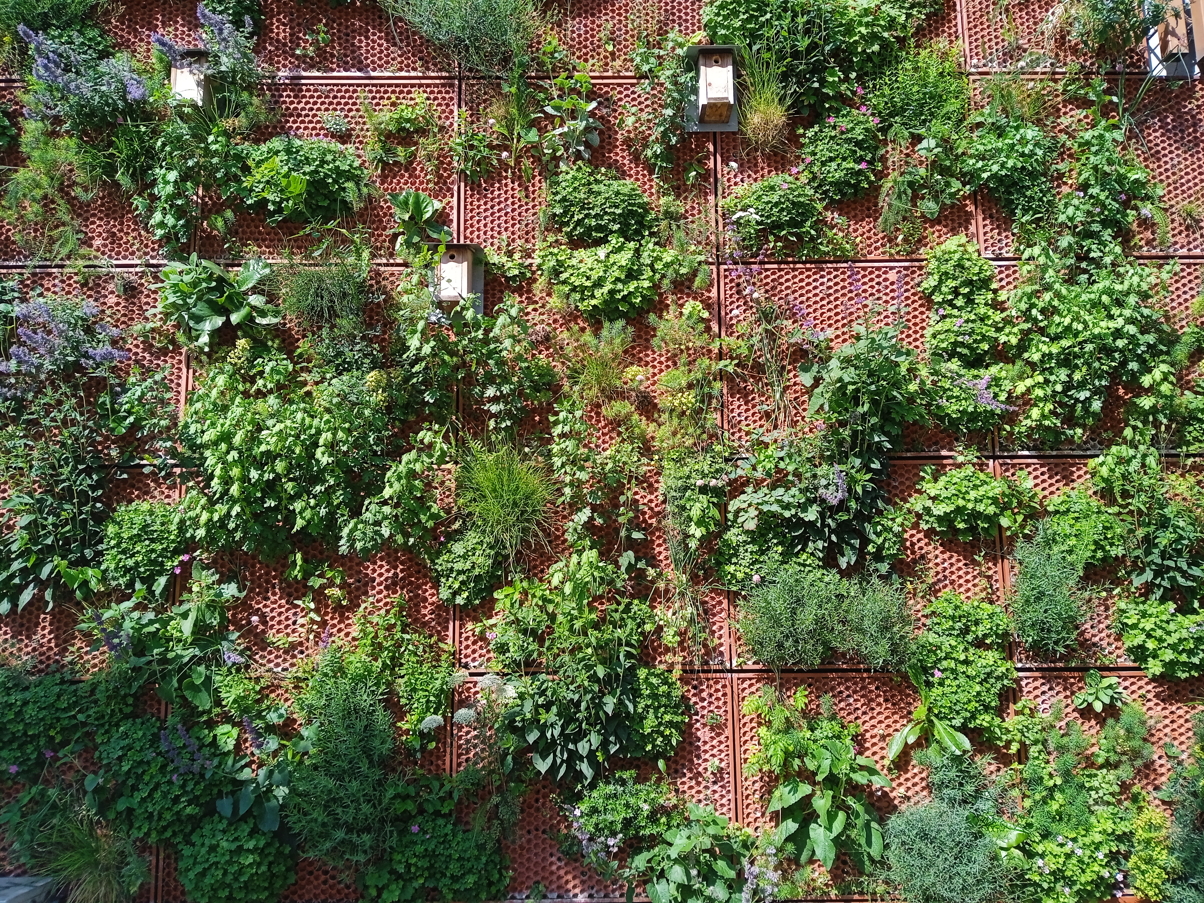 Green Sponge Buildings in Scandinavia