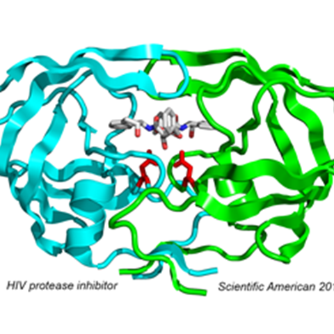 epub ultrastructure of rat adenohypophysis correlation with