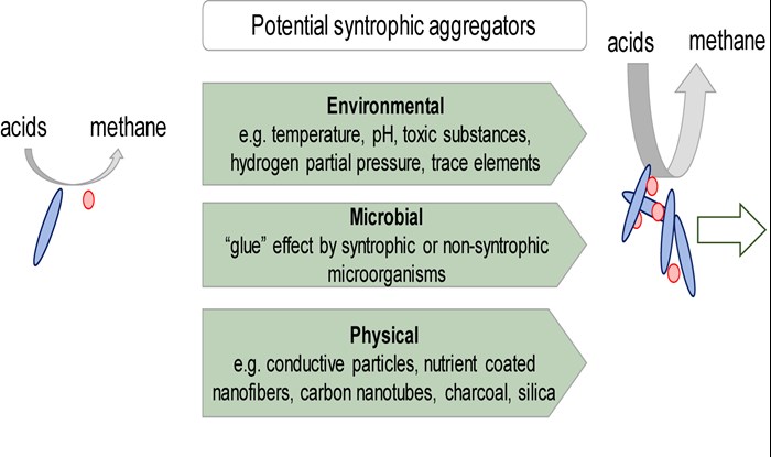 Factors that can affect aggregation and thus how quickly acids are degraded can be found in the surrounding environment for the bacteria, e.g. temperature, pH or toxic substances. There may also be purely microbial factors such as a "glue effect" between certain bacterial cells. There may also be added factors such as nanoparticles or nutrients.
