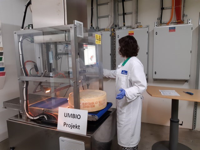 Non-destructive check of the ripening status of a cheese