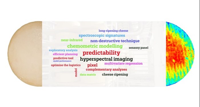 graphical abstract