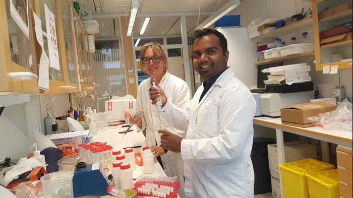 Publication authors Monika and Hasi aliquoting milk samples for long term freeze storage. 