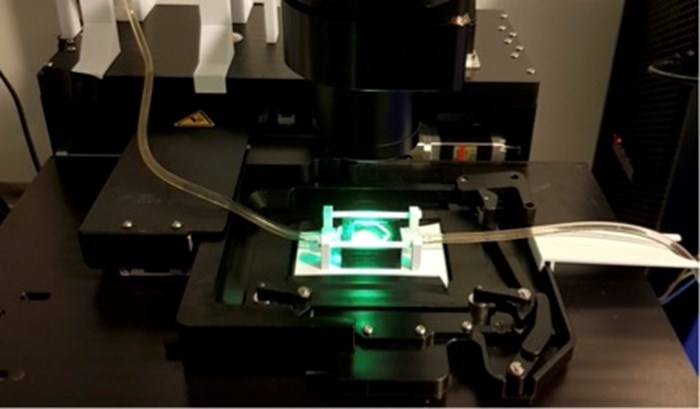 Custom-built growth chamber being used for fluorescence microscopy.