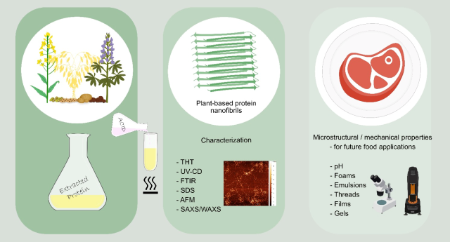 Graphical abstract