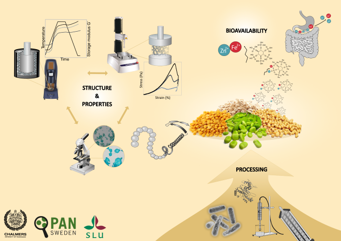 Graphical abstract