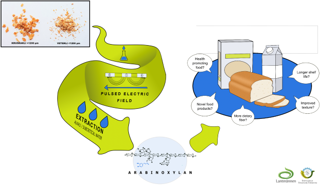 Graphical abstract