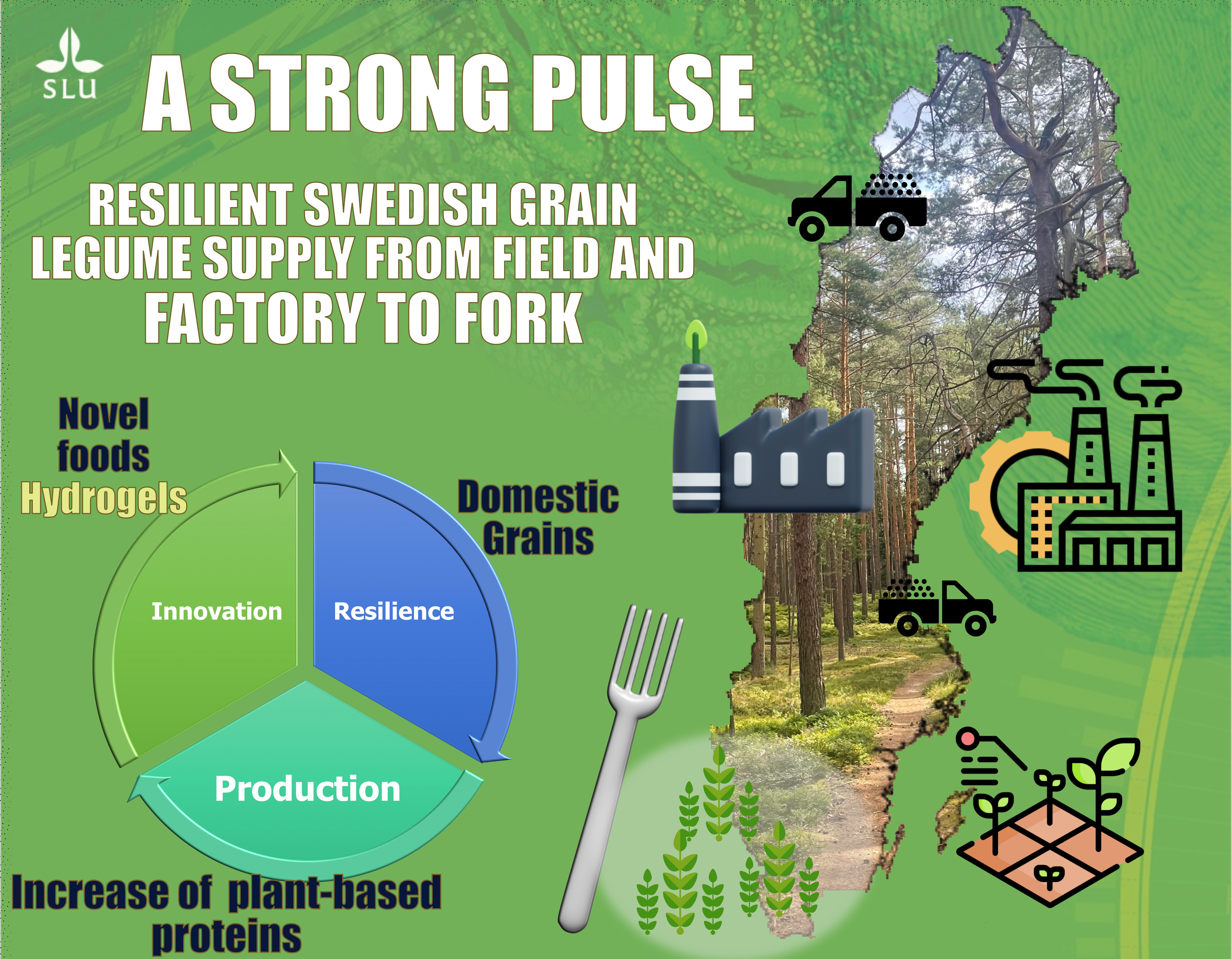 Graphical abstract for the project "strong pulses"