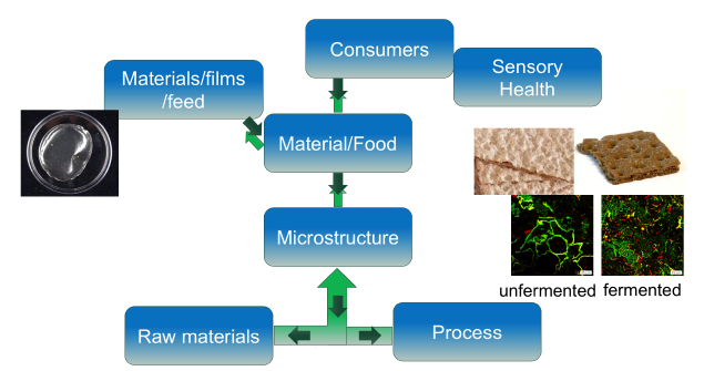 structure_and_properties_overview.png