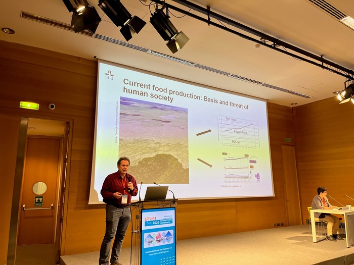 Professor presenting at the conference