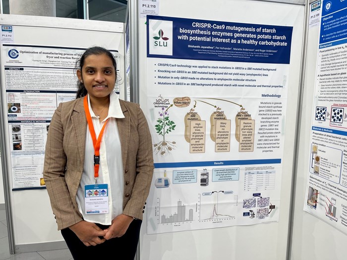 PhD student presenting at the conference