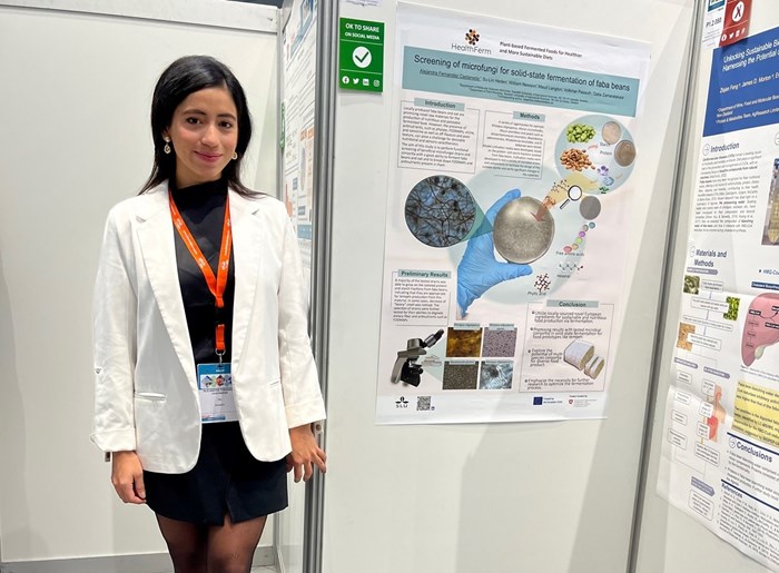 PhD student presenting at the conference