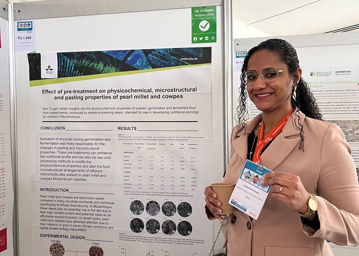 PhD student presenting at the conference