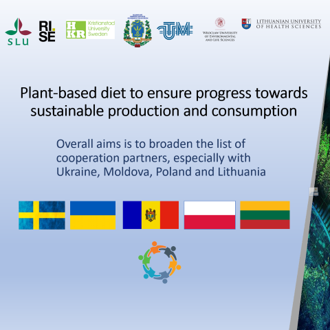 plant based diet project overview