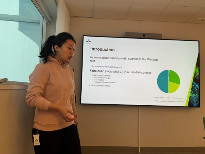 Jing Lu, SLU
