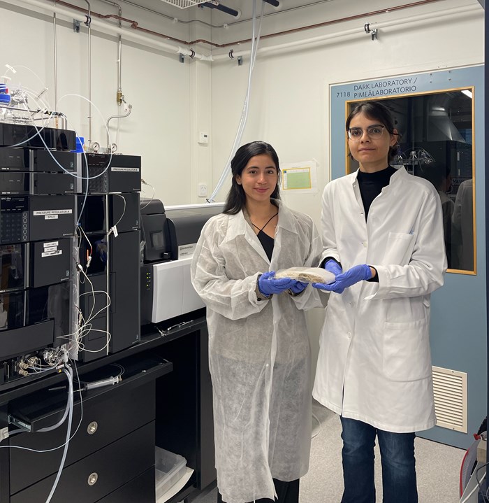 Doctoral students working on tempeh