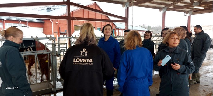 Visit to Lövsta research station