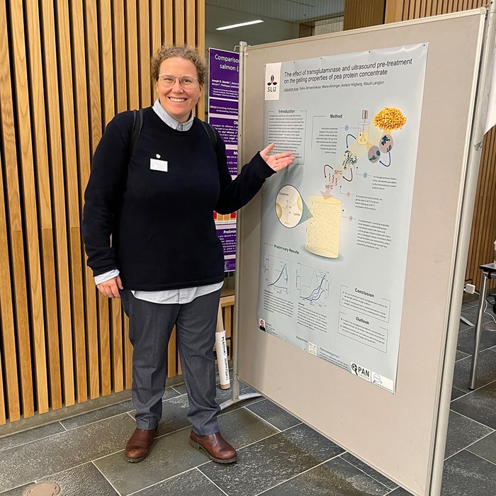 Doctoral student presenting a project