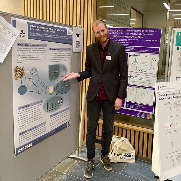 Doctoral student presenting a project