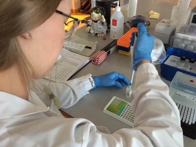 Pipetting for ELISA analysis