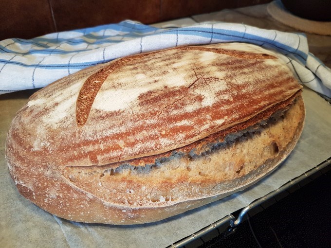 Sour dough bread