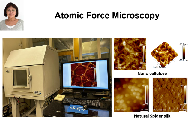 Atomic force microscopy