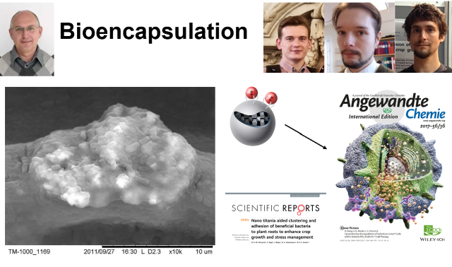  Bioencapsulation project overview