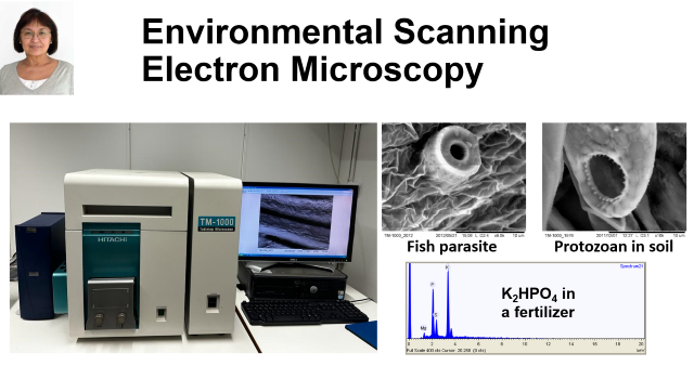 SEM equipment