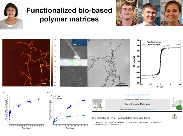 Functionalized bio-based polymer matrices overview