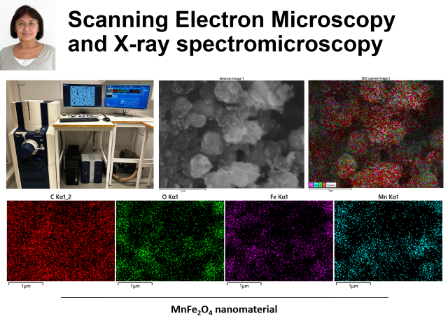 SEM and x-ray spectromicroscopy