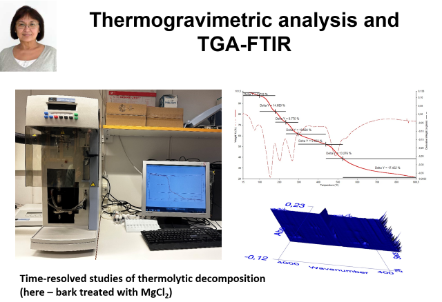 Thermogravimetric analysis and TGA-FTIR