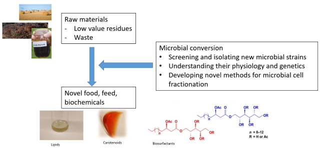 research aims diagram