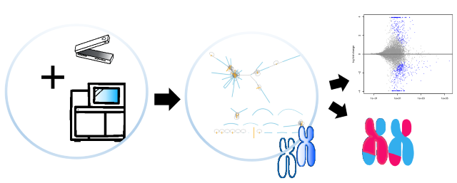 Overview of yeast genomics project