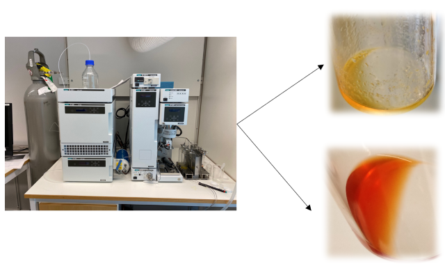 Yeast cell fractionation